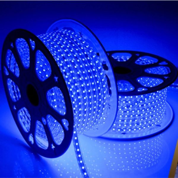 Bande LED flexible bleue LumoS 7 x 14 mm, étanche IP65, à intensité variable, 220-240 V, 8 W/m
