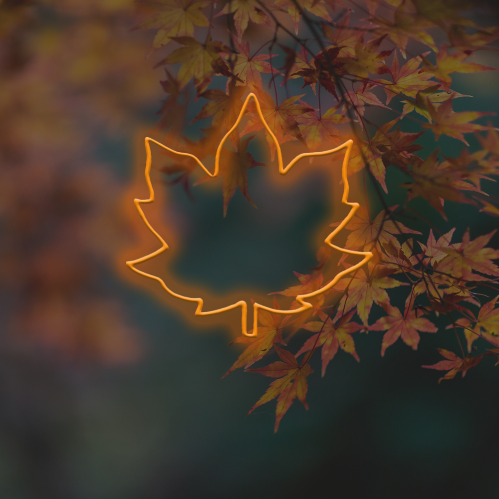 Maple Leaf - syksyn sisustus LED -neonimerkki Lontoossa