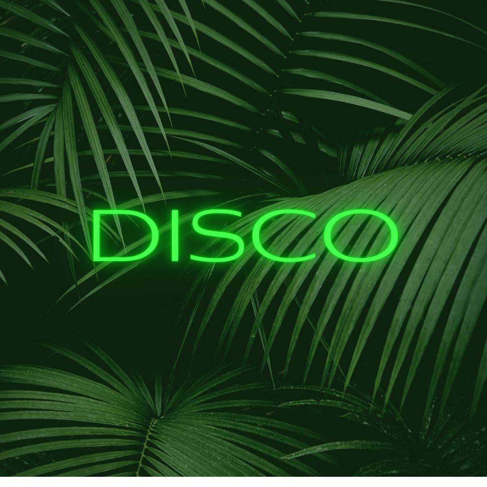 Disco LED Neon Sign - Planet Neon